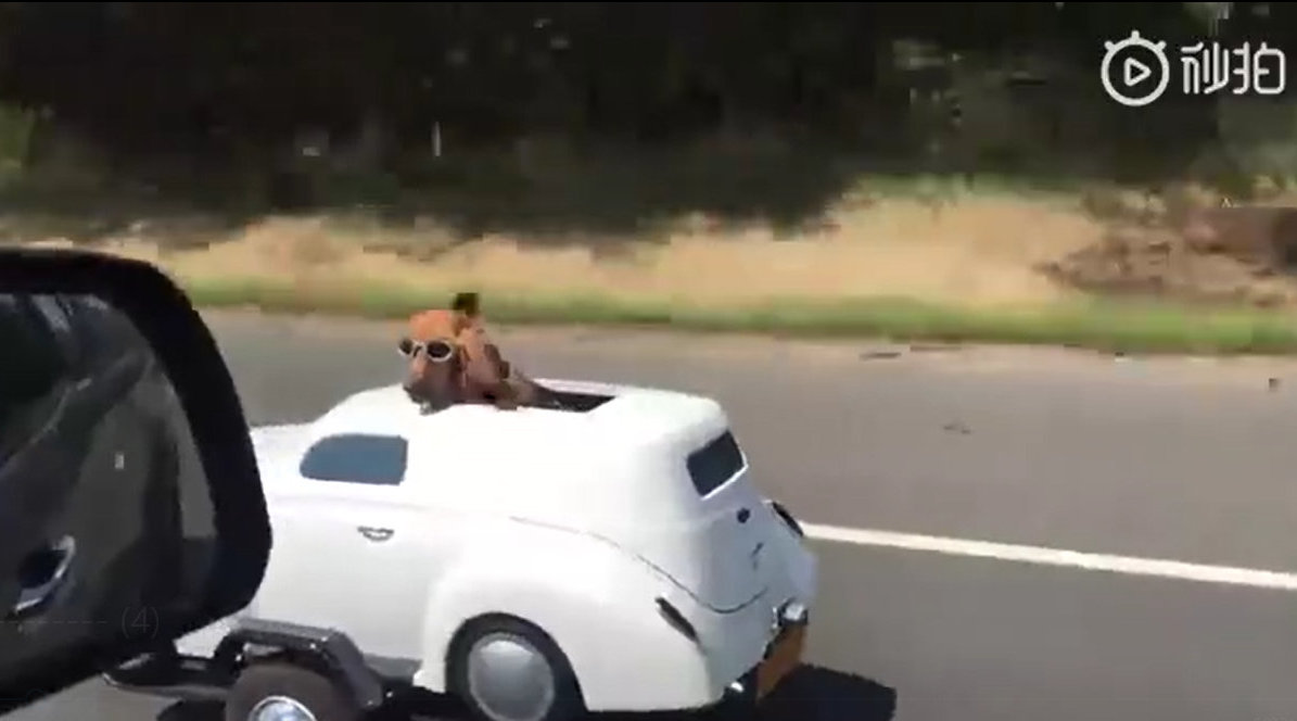 好嗨哦,感觉人生已经达到了巅峰