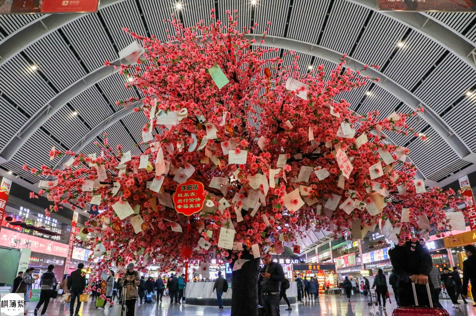 半个多月前,3月15日,这棵许愿树是这样的:各种愿望挂满枝头.招风吧?