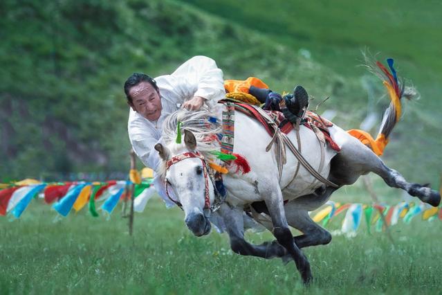 高原欢歌共庆玉树三节齐至玉树赛马节以特色赢得国际瞩目