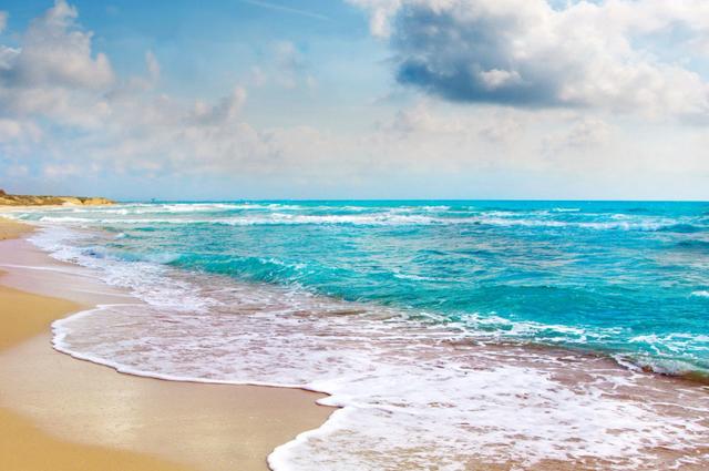 属狗人:一辈子的婚姻幸福 尤其是1982年的,太