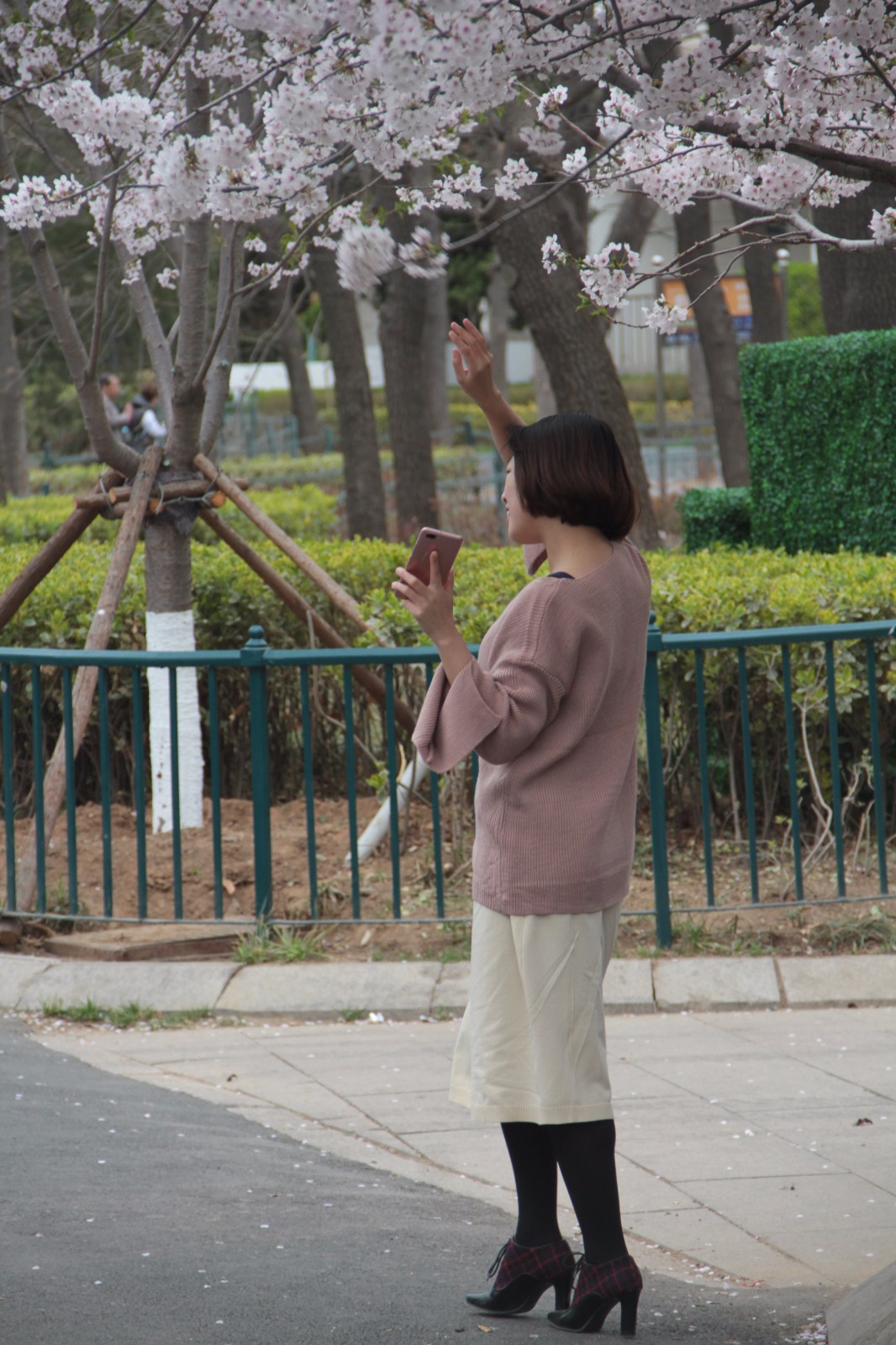 樱花下的青岛气质美女,背影美丽动人_新浪看点
