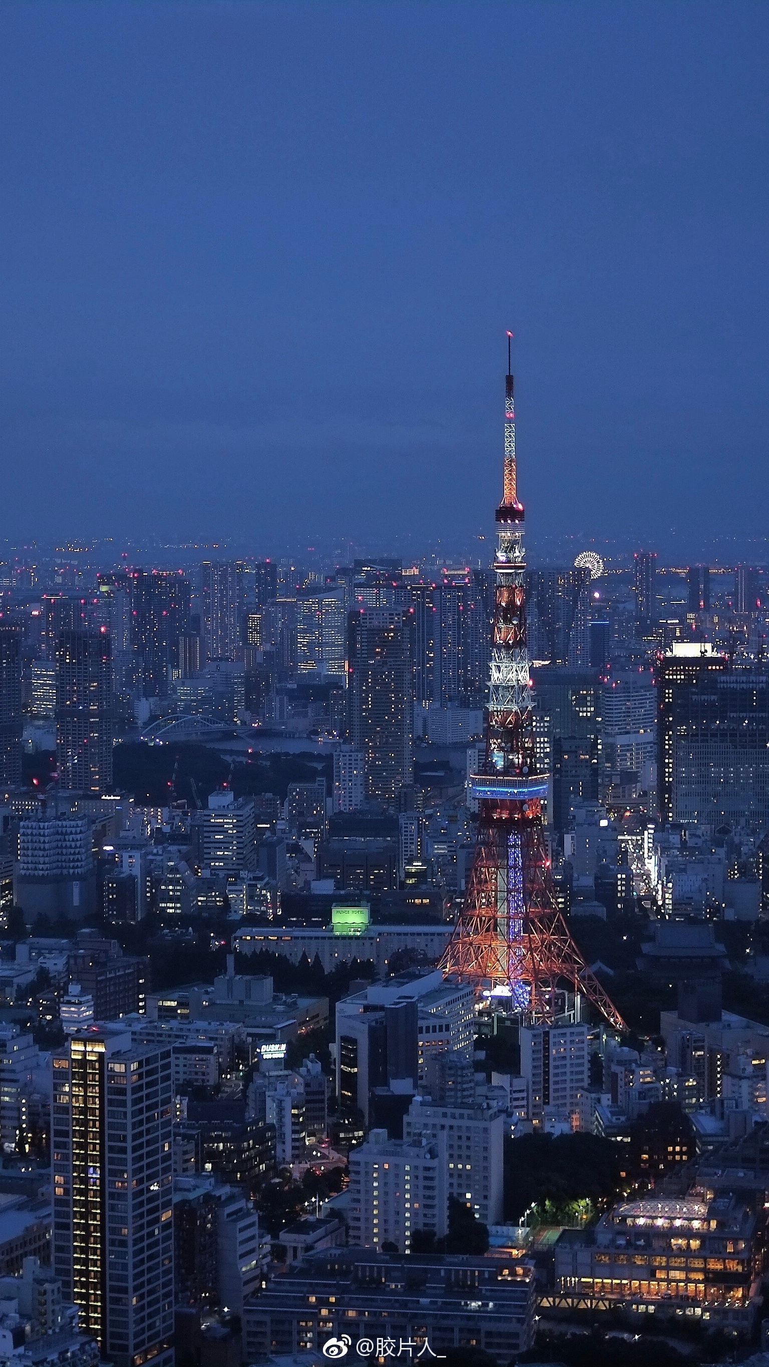 "陪你远看东京铁塔的四季"|东京铁塔|四季_新浪新闻