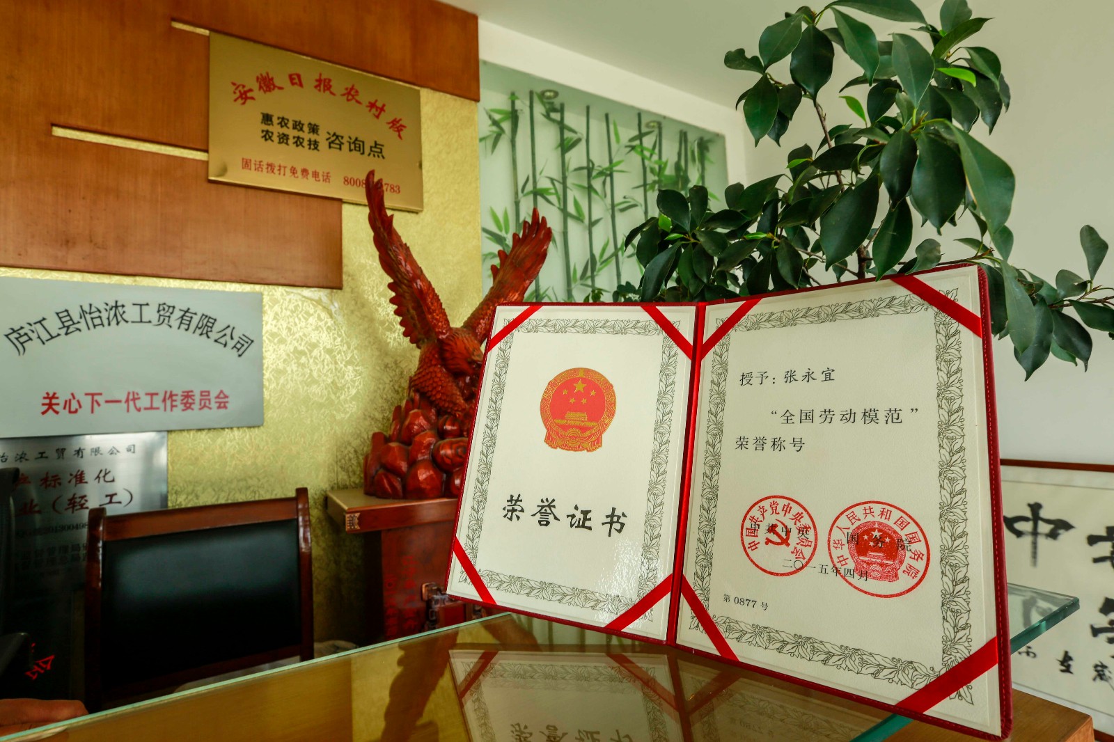 张永宜,今年40岁,是安徽庐江方圆百里闻名的"鸭司令",亿万富豪.