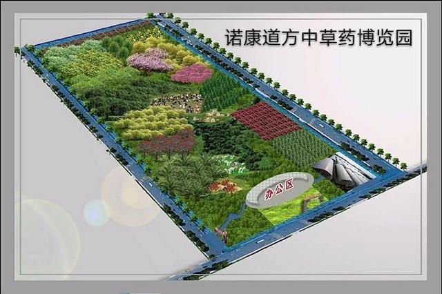 健康养生何必东奔西跑,汾阳诺康道方中草药园一站式体验全满足