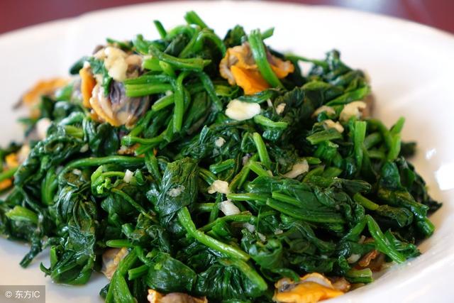 收藏|刺儿菜|荠菜_新浪新闻