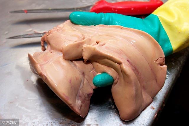 肝脏含多种营养成分,其独特的腥味为犬猫所喜爱,因为狗狗喜欢吃内脏