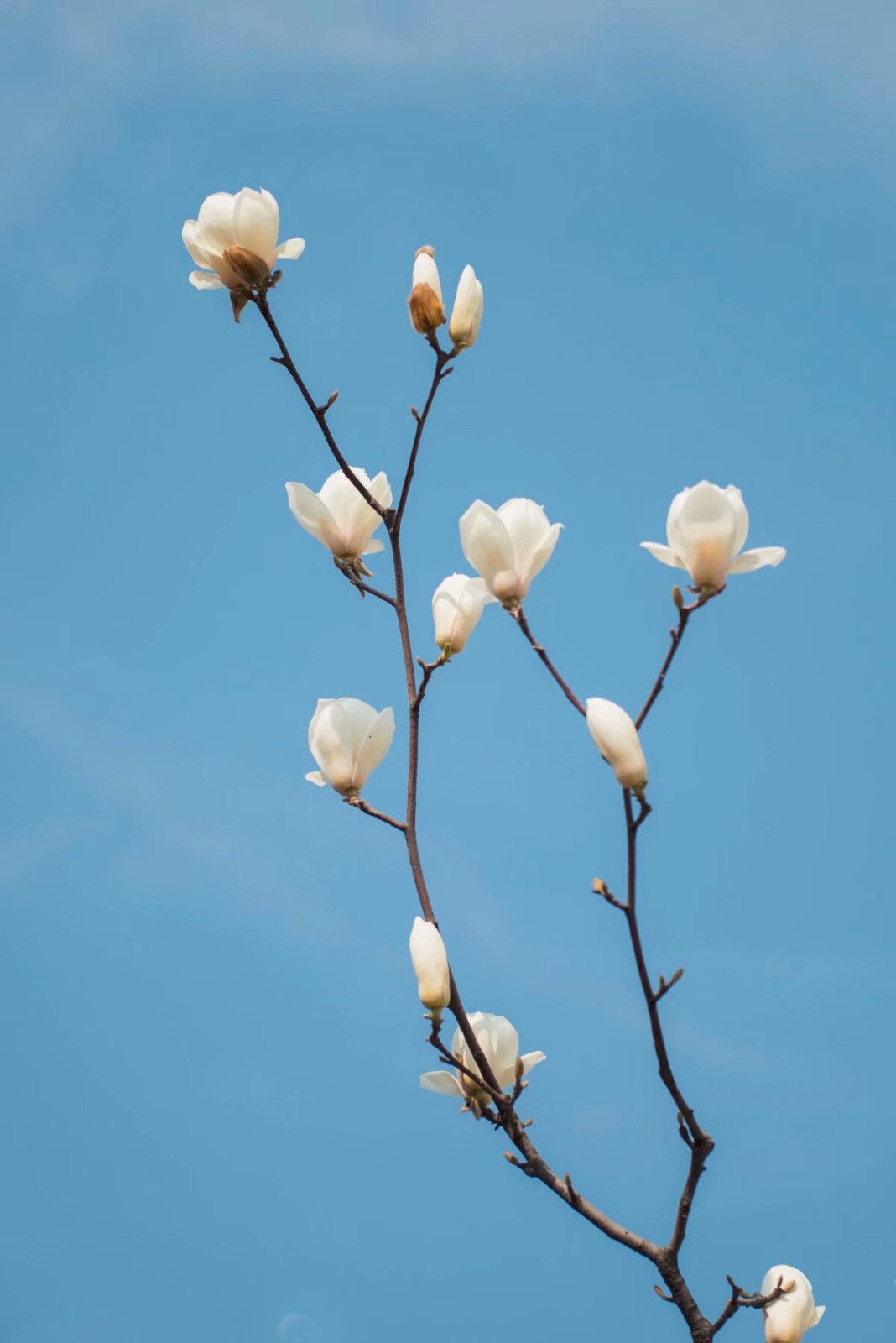 深度调查：长沙玉兰路哪个店妹子好，2025年长沙玉兰路哪个店妹子好详细分析