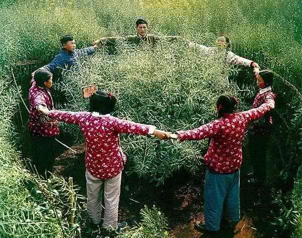 外国人拍摄的50年代中国老照片：没想到60多年前的中国是这样子|年代|中国历史|老照片_新浪新闻