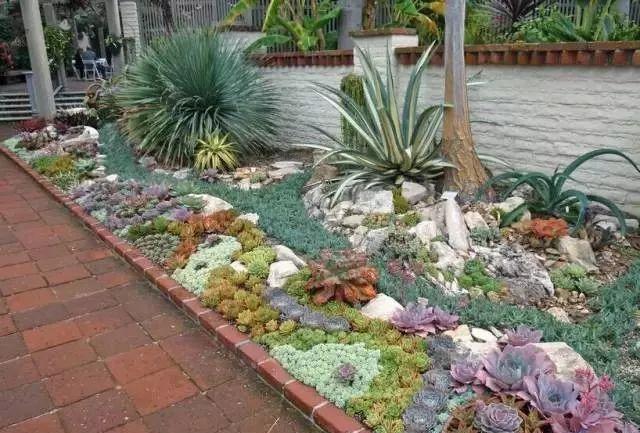 美爆了这可能是最全的多肉植物庭院景观让你心动不止一万次