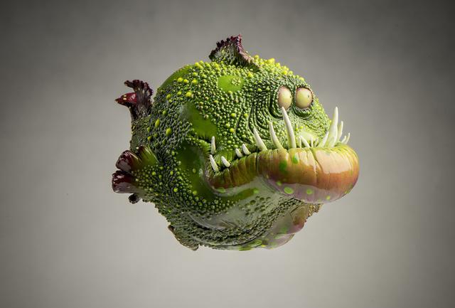 来看看这些可爱的海洋新物种吧