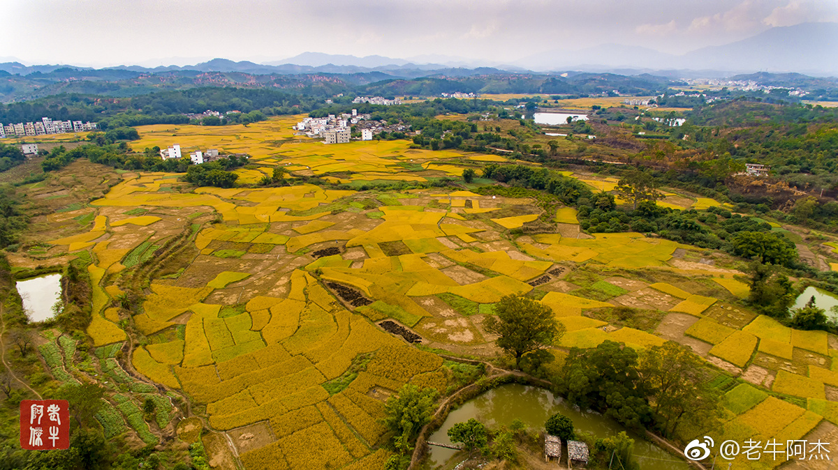封开杏花镇双联村景色一组