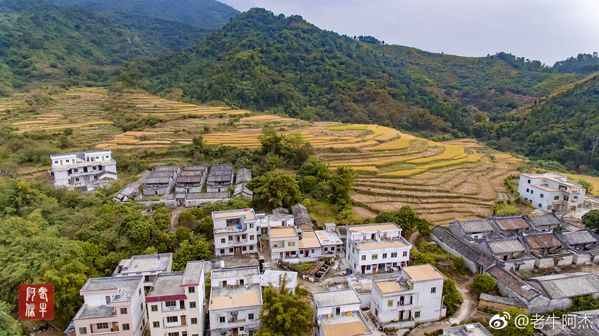 封开杏花镇双联村景色一组