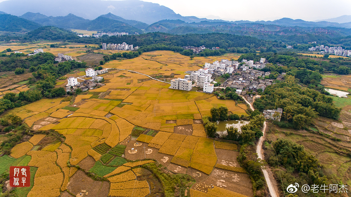 封开杏花镇双联村景色一组