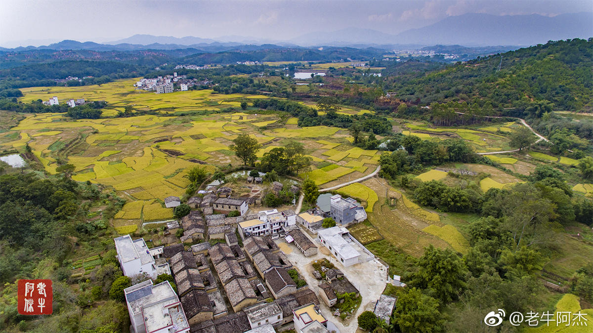 封开杏花镇双联村景色一组