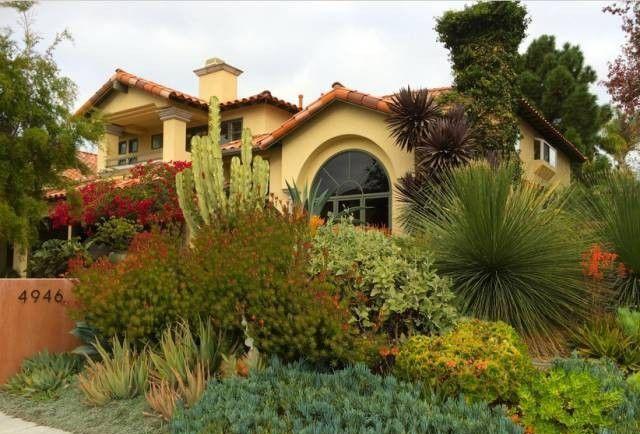 多肉植物|庭院|花园_新浪新闻