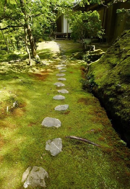 京都又名苔寺是日本最古老的庭园之一西芳二字