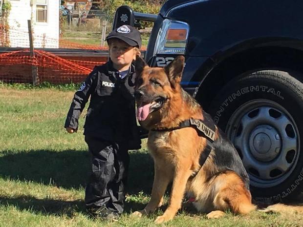 这只超可爱的小警犬叫做tuco,照片中的它当时只有9周大