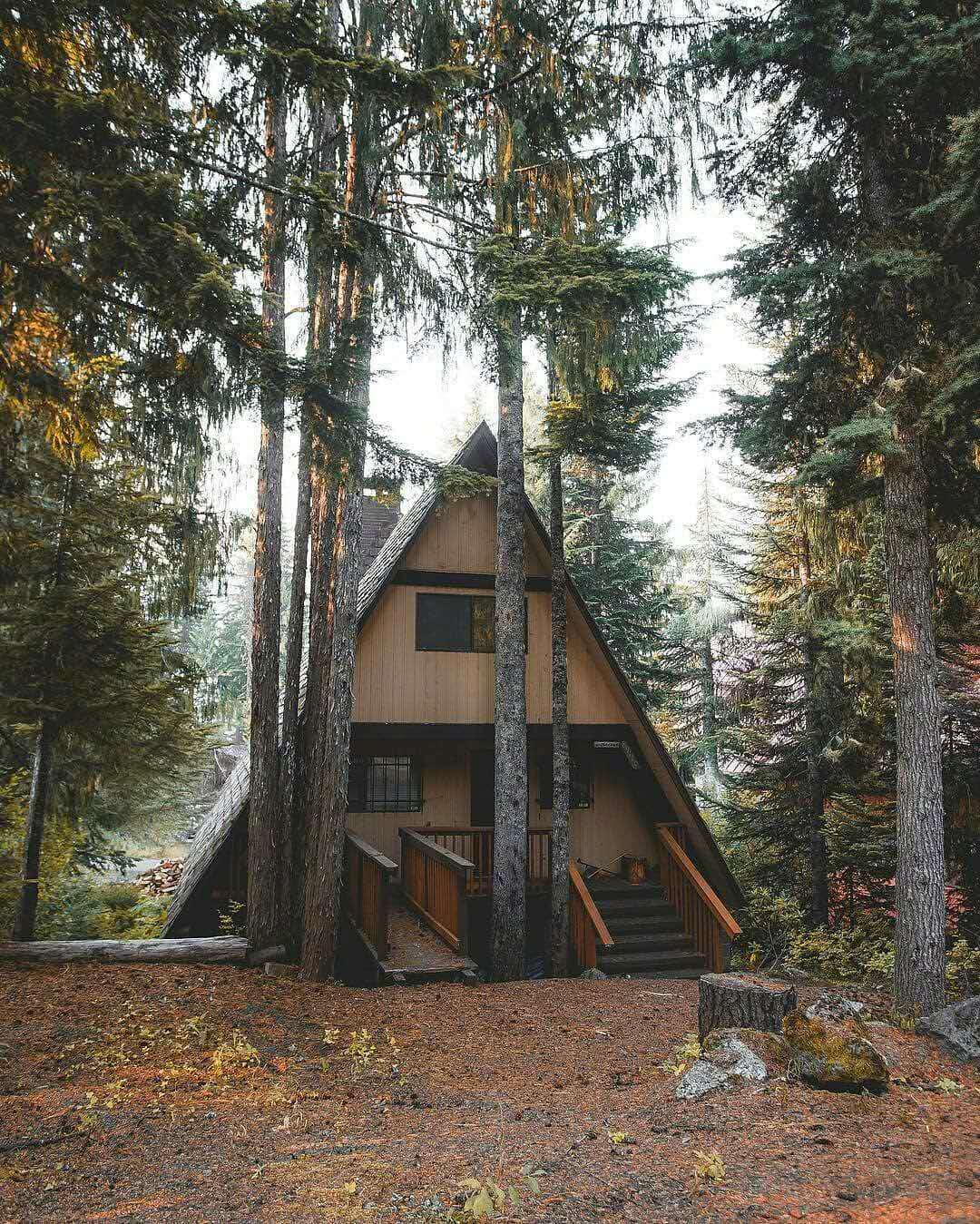 心理测试:你想进哪个神秘小屋?测你能抓住发财的机会吗!