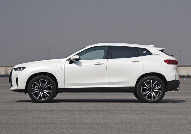 长城携新款来袭!网友:实在买不起!