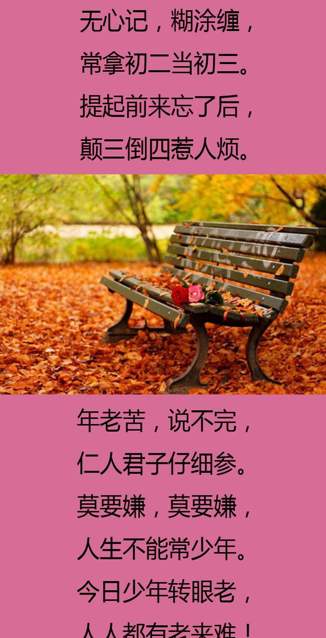 老来难老来难老了到底有多难看完的都哭了