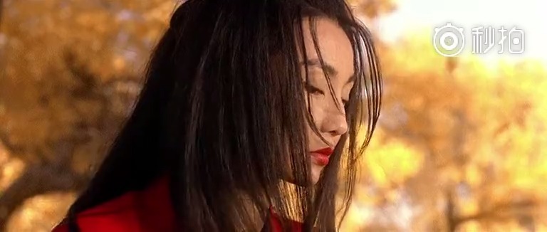 《英雄》中张曼玉与章子怡在银杏林中对打的场面真是太美,虽然《英雄