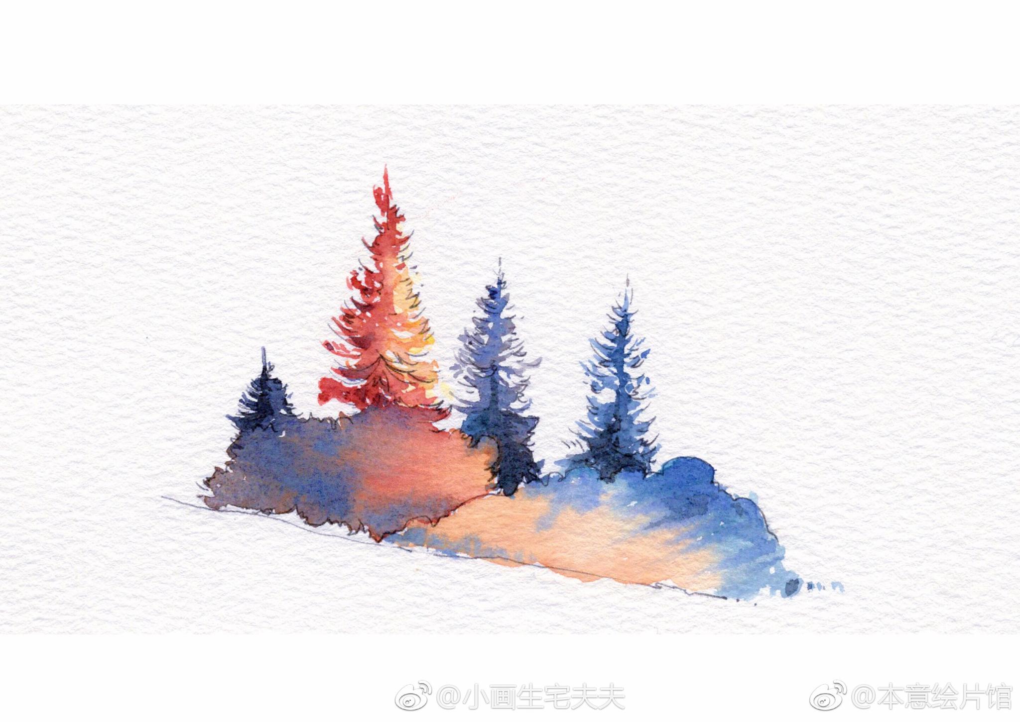 钢笔淡彩植被一组绘画