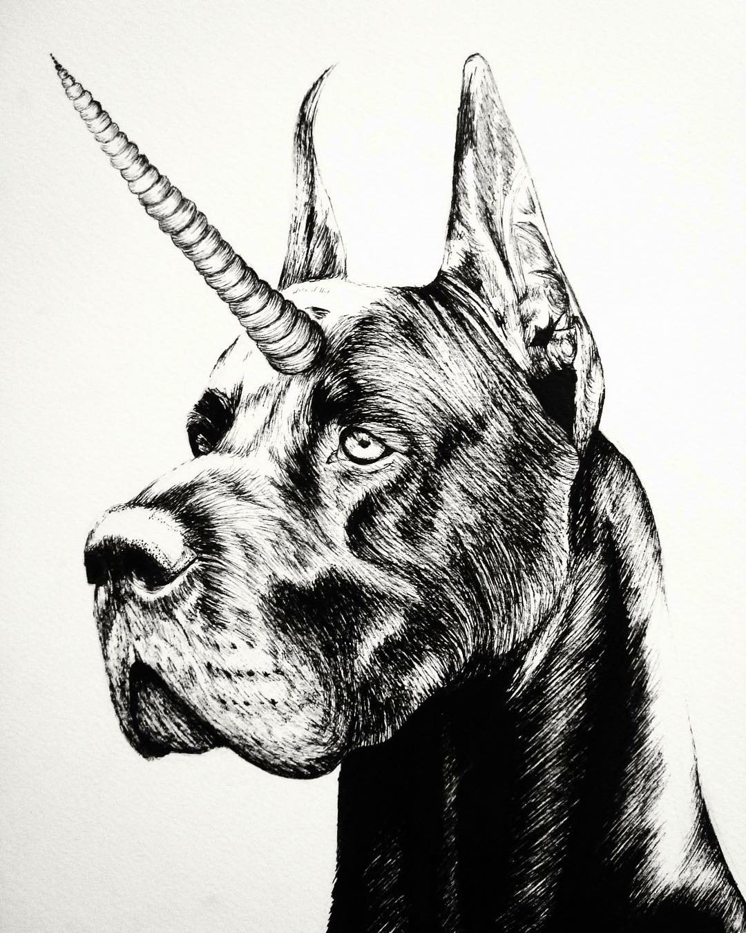 元素重组黑白动物插画_新浪看点