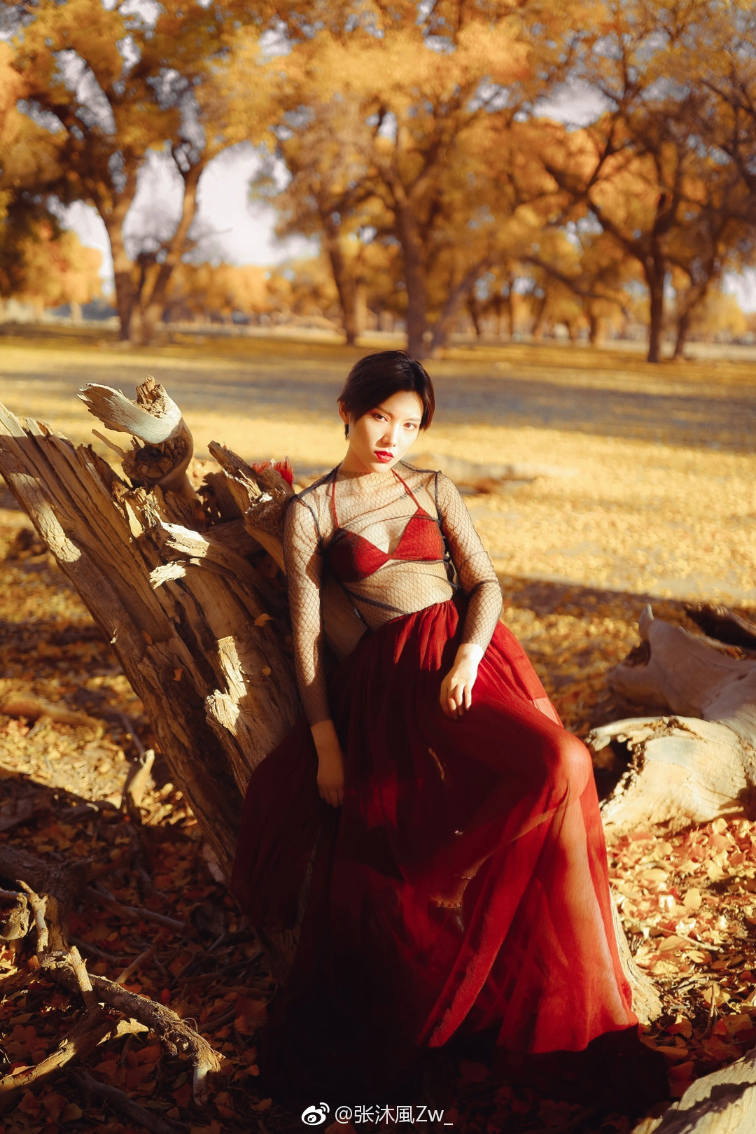 我很抱歉 @_巫丝桐_  师傅丨@微澜mag 排版丨@仟酱 题字丨@吴艺