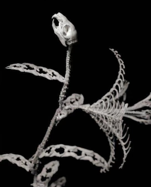 日本雕塑艺术家的,使用动物的骨骼创作而成的"白骨之花 "