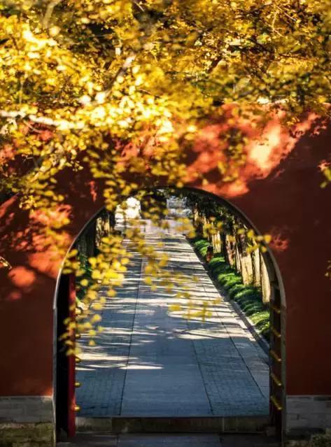 南京南京有一种中国风叫南京