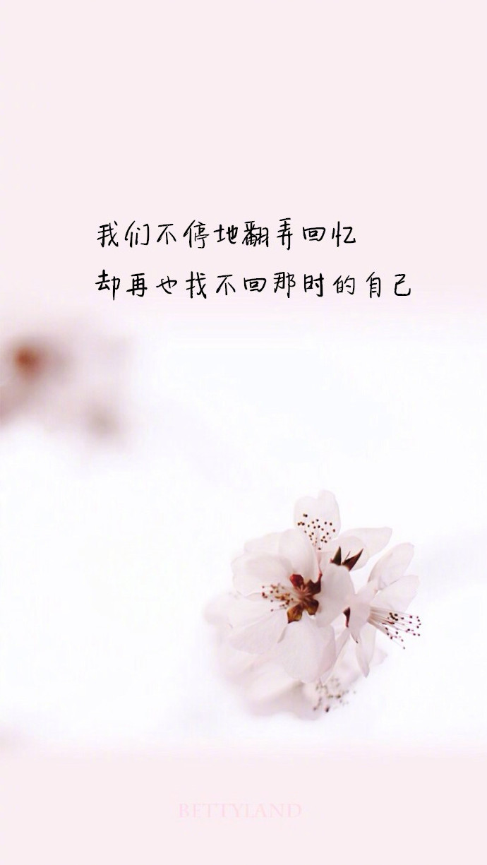 我需要你的时候你不是不在