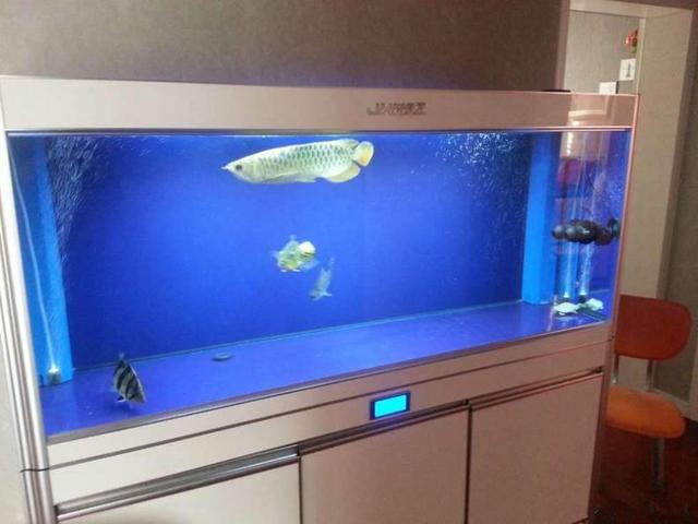 概述鱼缸造浪泵的作用和应该摆放的位置