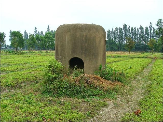 司令一筹莫展,农妇背来一筐死鱼,全歼30敌军|游击队|据点|鬼子_新浪