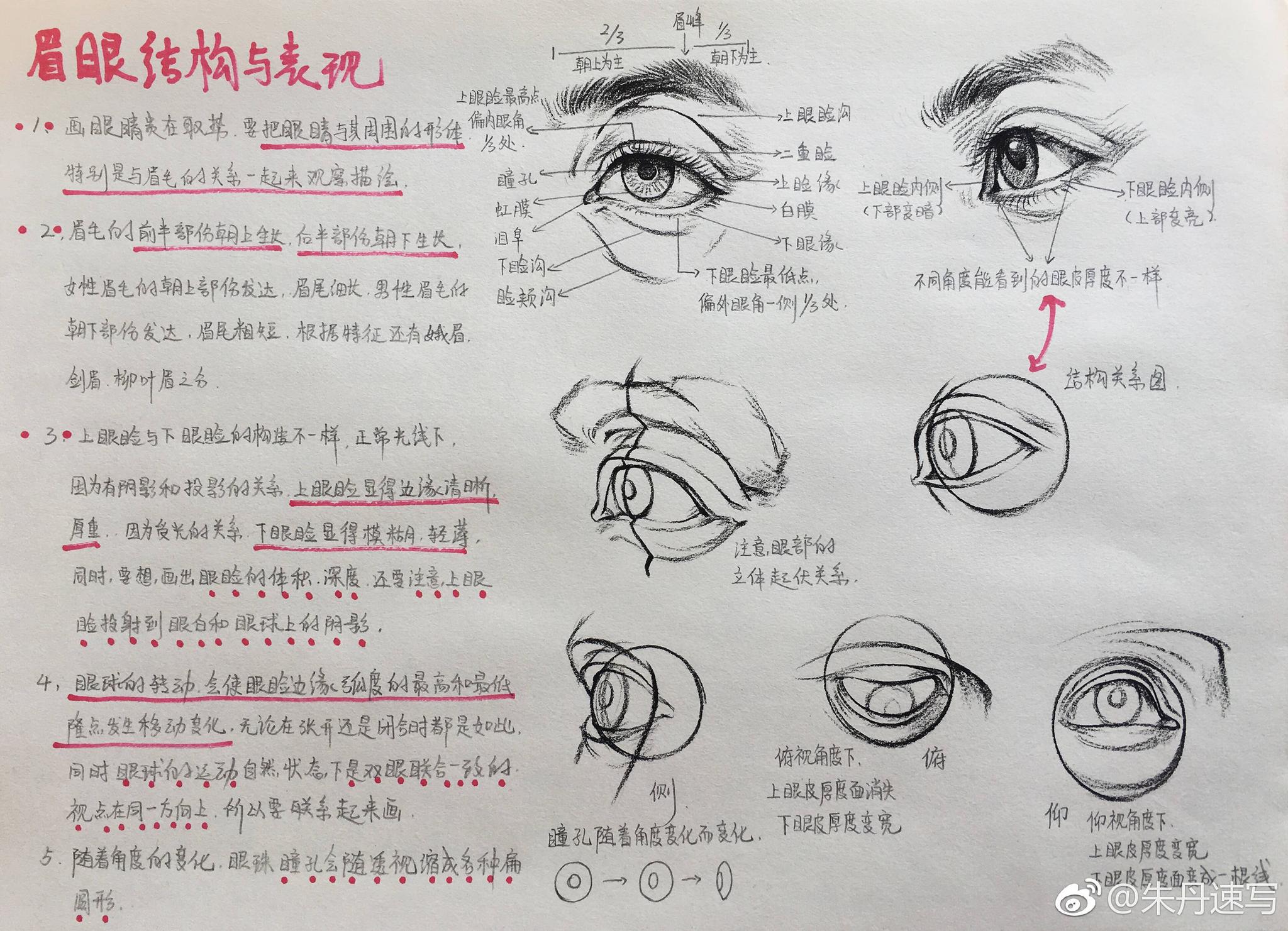 五官讲解和头部完整示范_新浪新闻