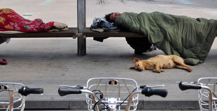 乞丐和狗狗睡的样子很安详.茫茫人海里始终有"人"懂你