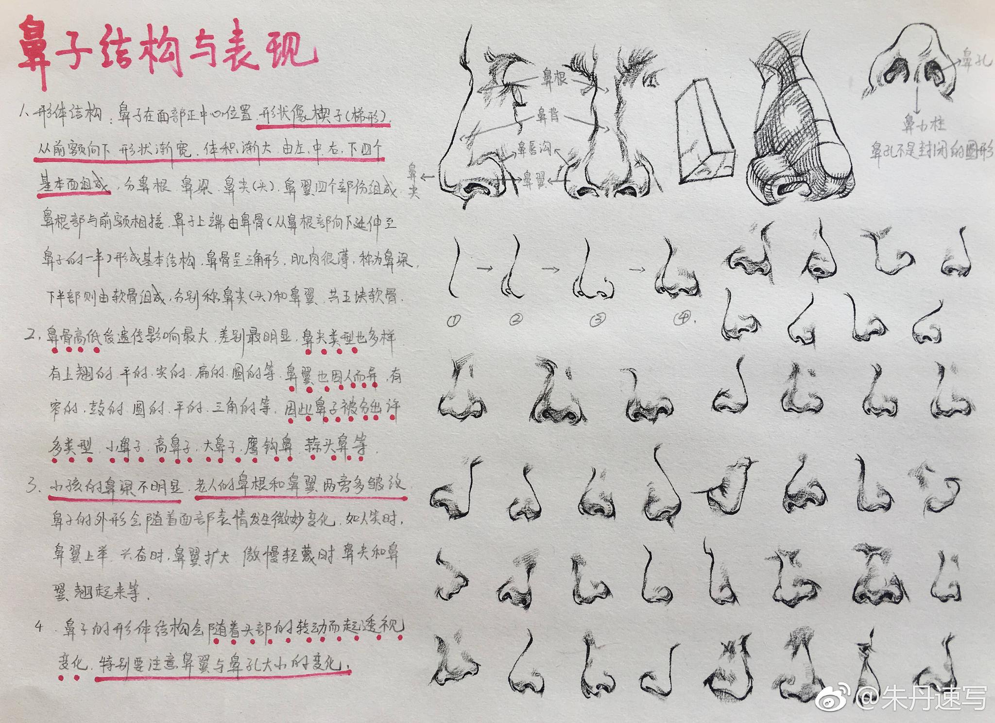 五官讲解和头部完整示范|五官|速写|朱丹_新浪新闻