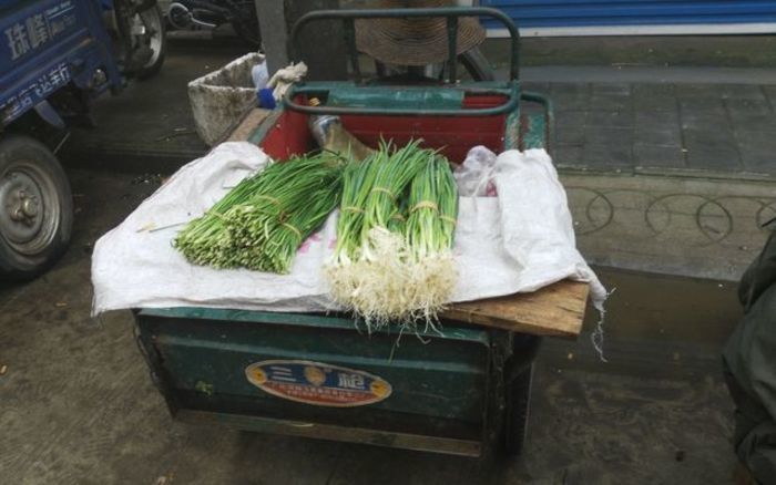 农村八旬老人摆摊卖菜,阴雨中摆摊却不为挣钱,真相令人心酸