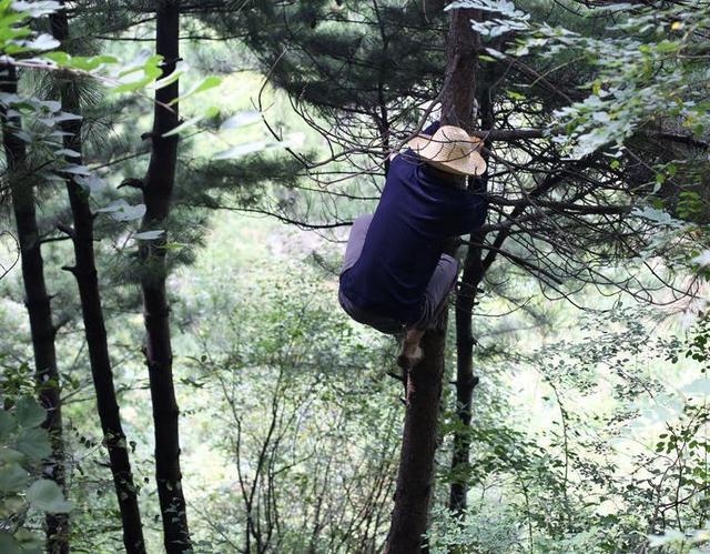爬树取手表, 老人一番话后男子竟自己爬树|刘德龙|老头儿|金表_新浪网