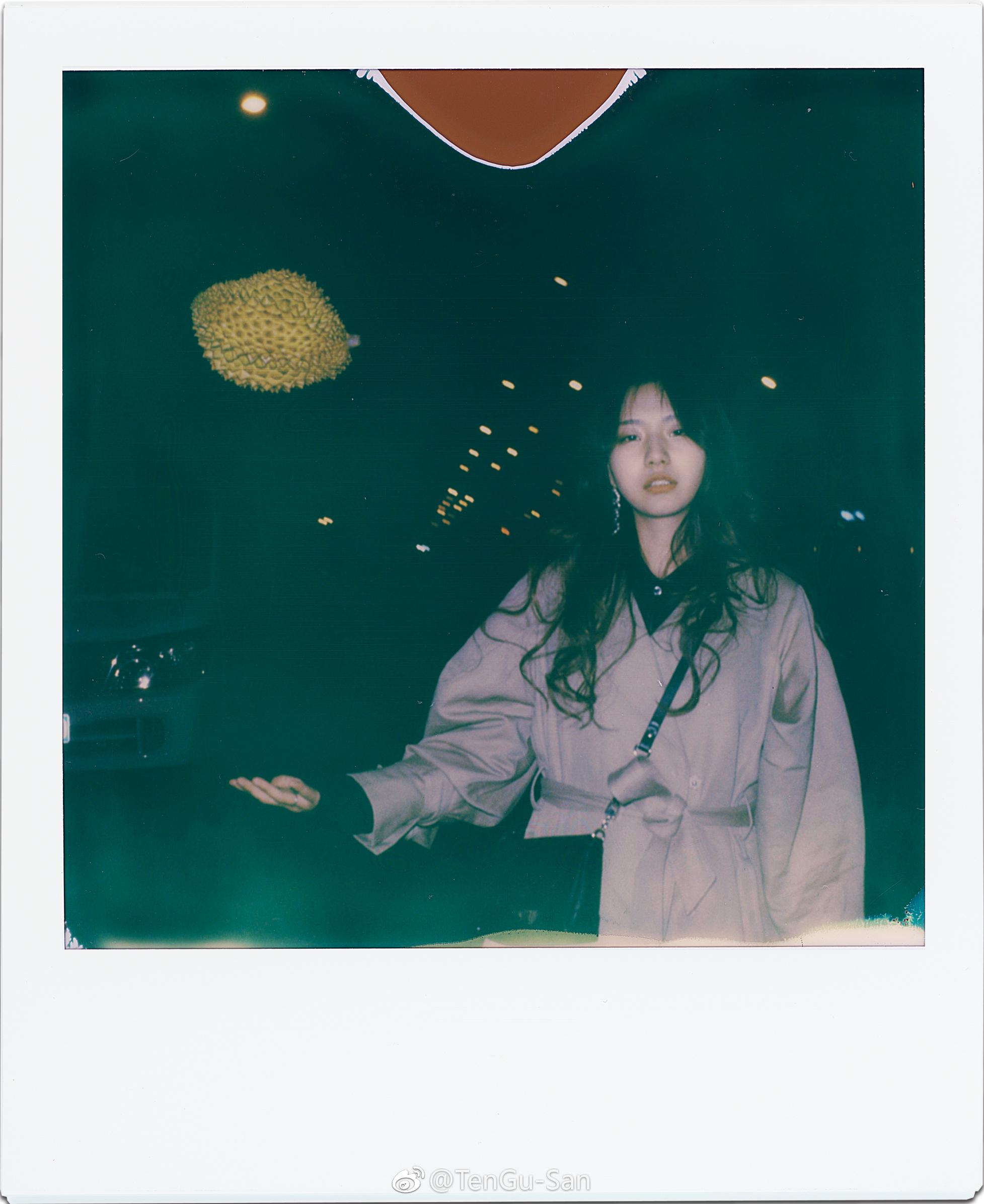宝丽来polaroidslr690扫描photographedbytengusanmodel