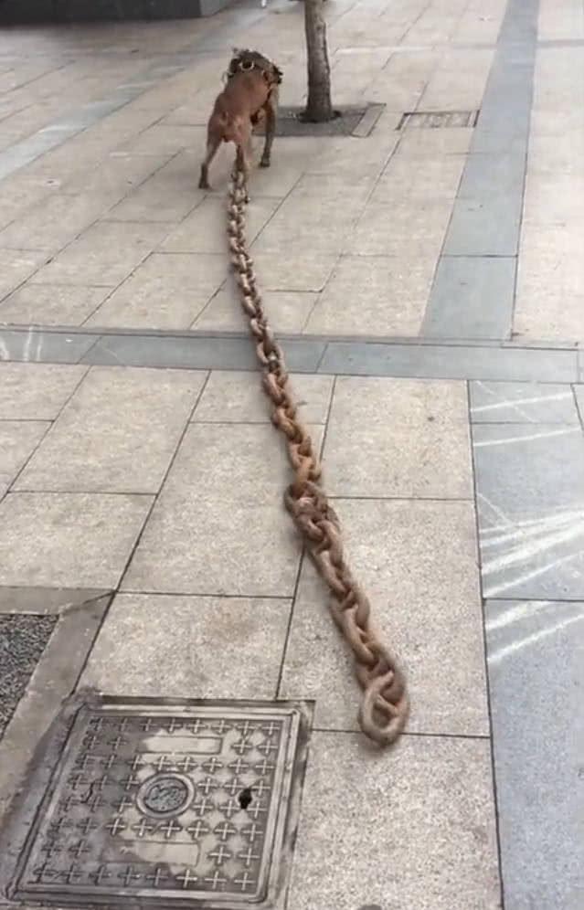 耐力训练的常用手段 有氧耐力训练手段