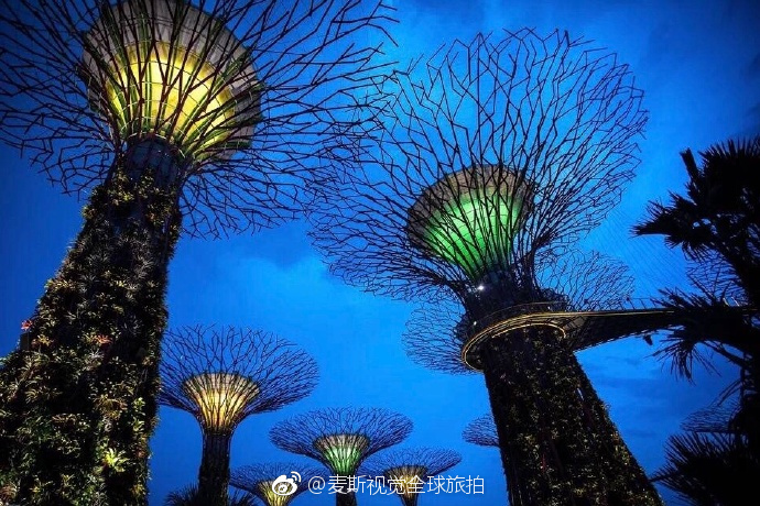 新加坡滨海花园的天空树，超美哒|滨海花园|天空|新加坡_新浪新闻