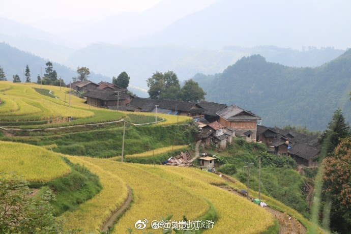 黔南州三都水族自治县都江镇秋色.美极了,快去看,秋收要结束了