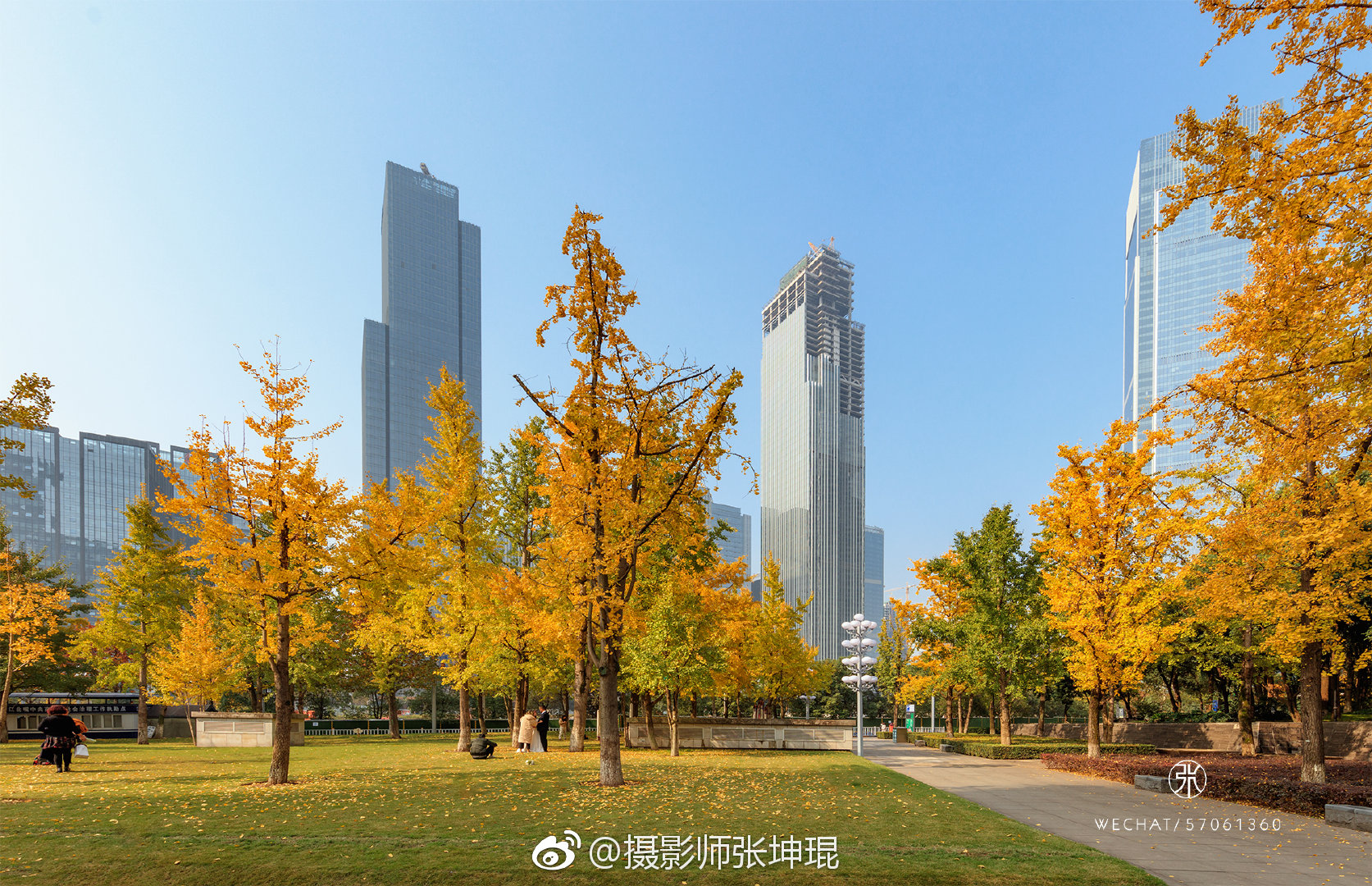 每年11月底江北嘴中央公园的银杏总以最耀眼的颜色结束一季的绚烂
