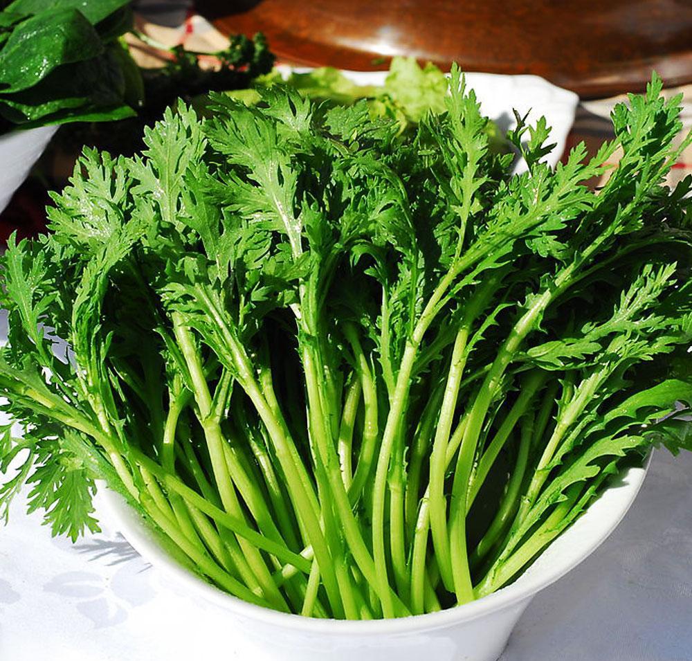 2块钱就能炒一大盘的家常菜, 它的八大功效你知道几个? 快来收藏