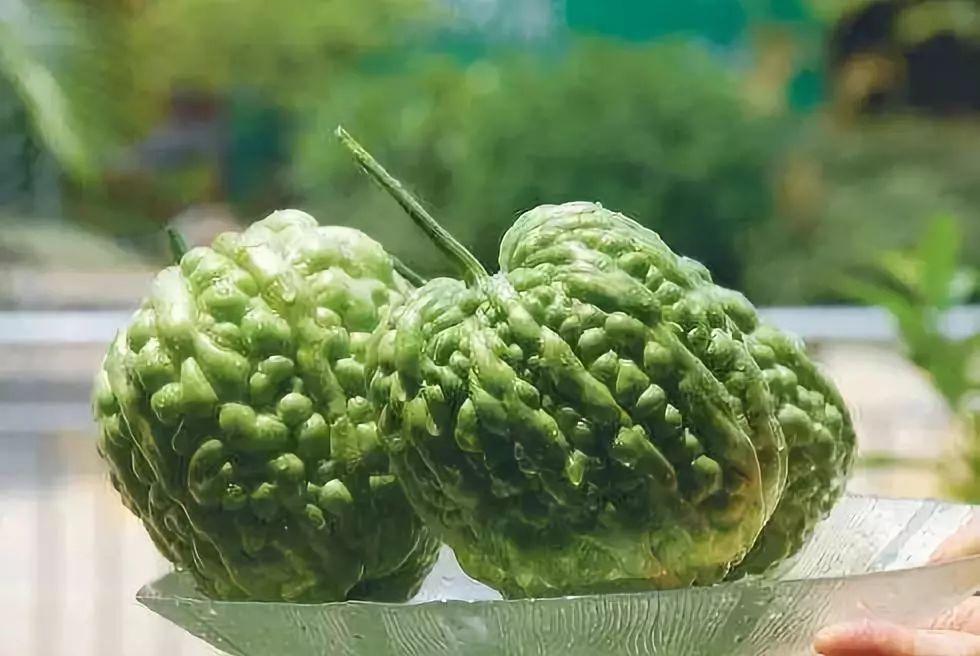 苦瓜|远阳|食材_新浪新闻