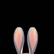 十岁老人帮带孩子女子不领情还时常埋怨涂磊犀