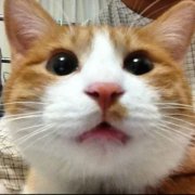 搞笑榜姐每日话题微博搞笑排行榜美女美女搞笑