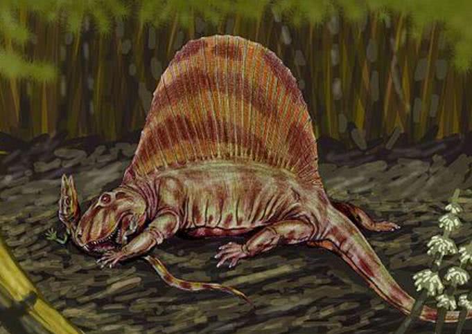 犬颌兽,生活在三亿二千万年前的一种外观跟狗相似的远古动物,它们长着