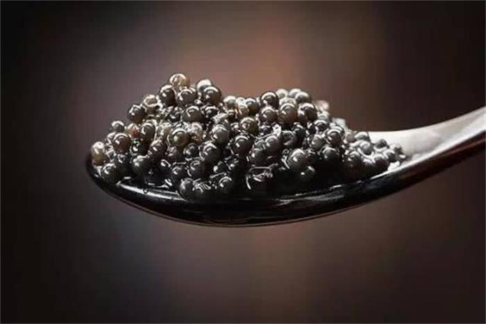 世界最贵鱼子酱里面还有黄金,吃一口几十万