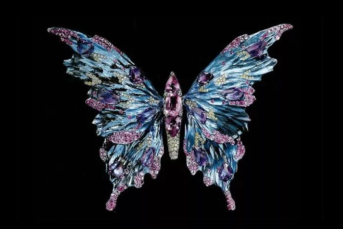 心理测试:4个宝石蝴蝶,你选哪个?测目前你们的感情适合结婚吗